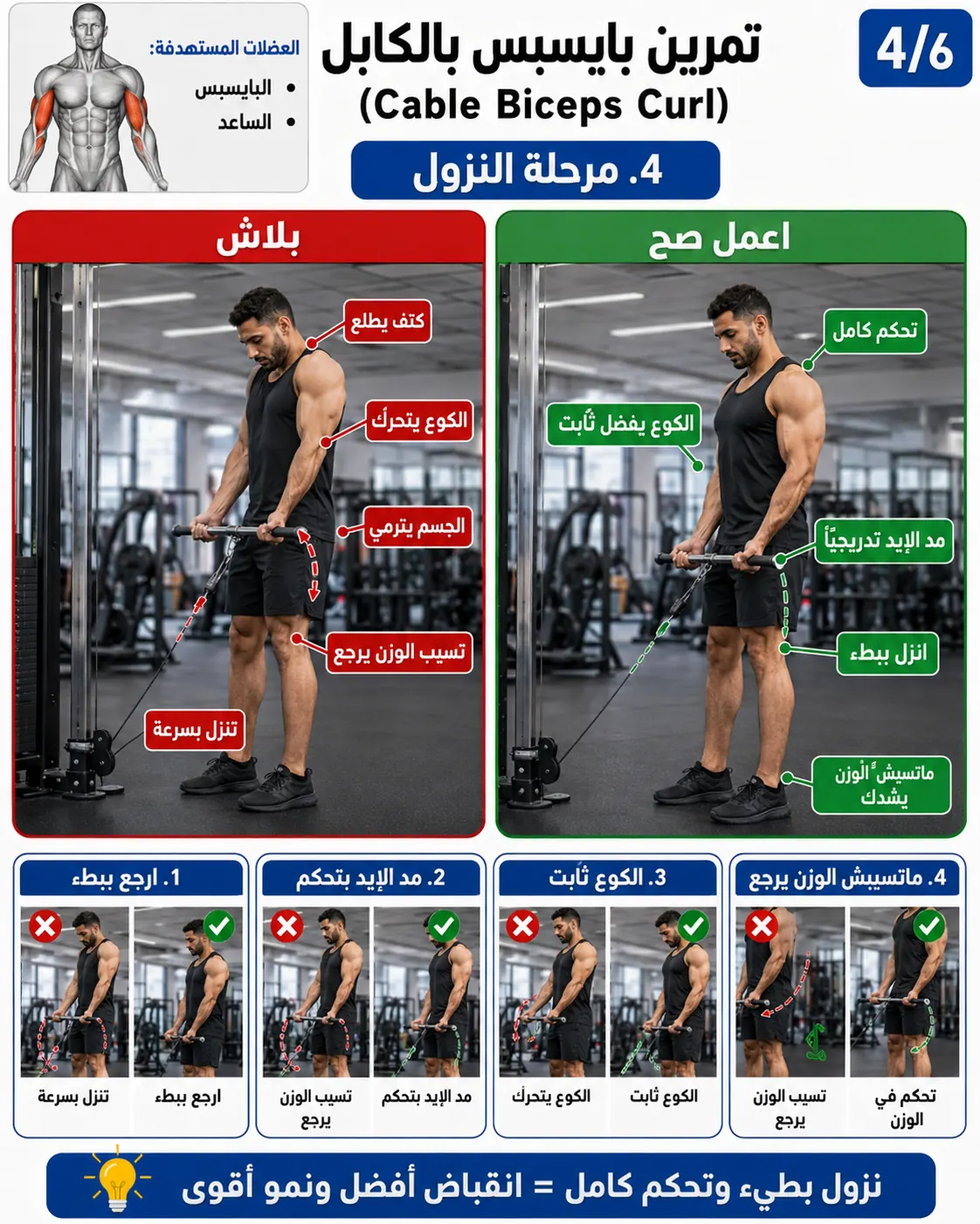 دليل الأداء الصحيح والخاطئ لتمرين بايسبس بالكابل