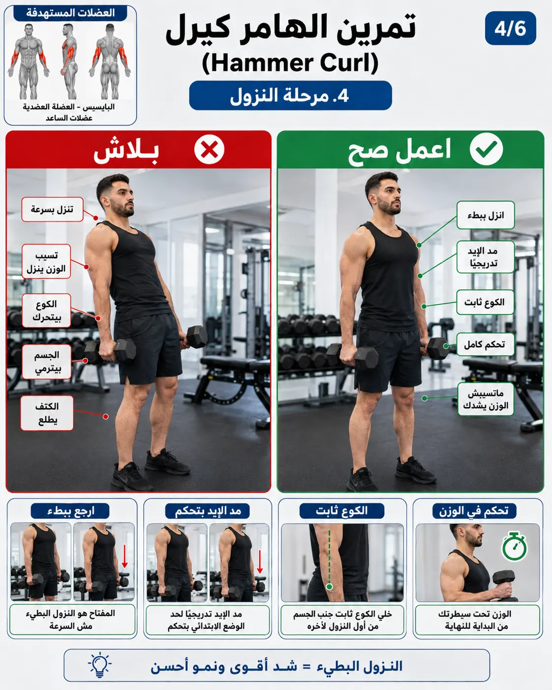 دليل الأداء الصحيح والخاطئ لتمرين هامر كيرل